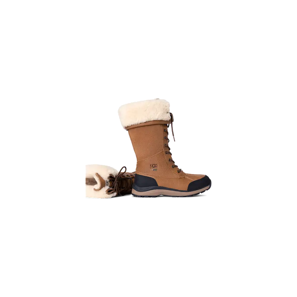 Botte Adirondack III Tall Chestnut vue 3
