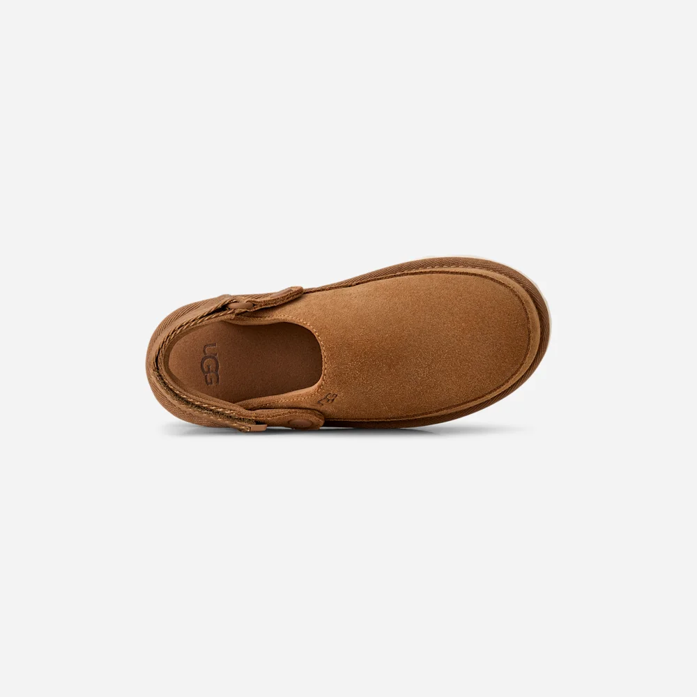 Sabot Goldenstar Chestnut vue 6