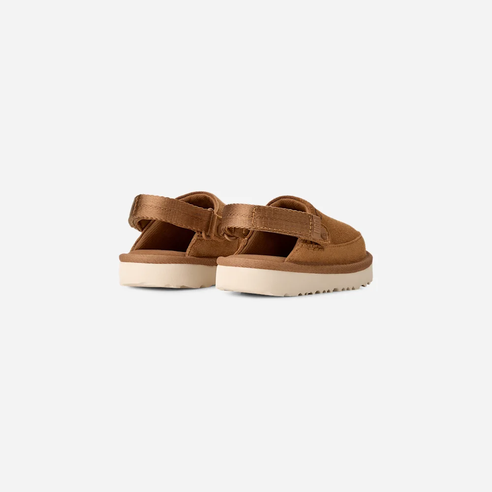 Sabot Goldenstar Chestnut vue 4
