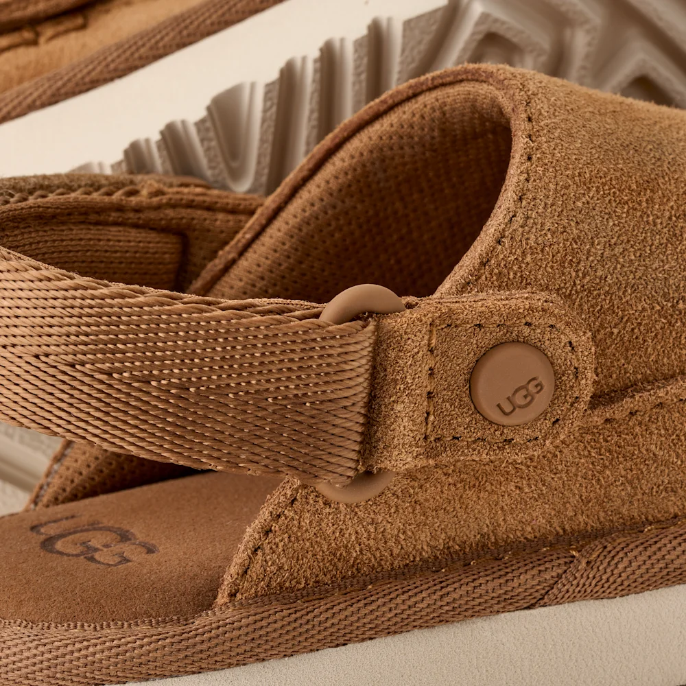 Sabot Goldenstar Chestnut vue 5