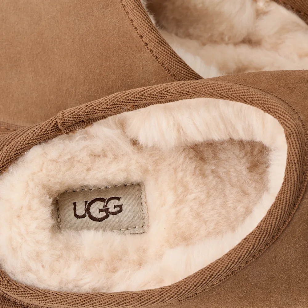 Classic Slip-On Chestnut vue 5