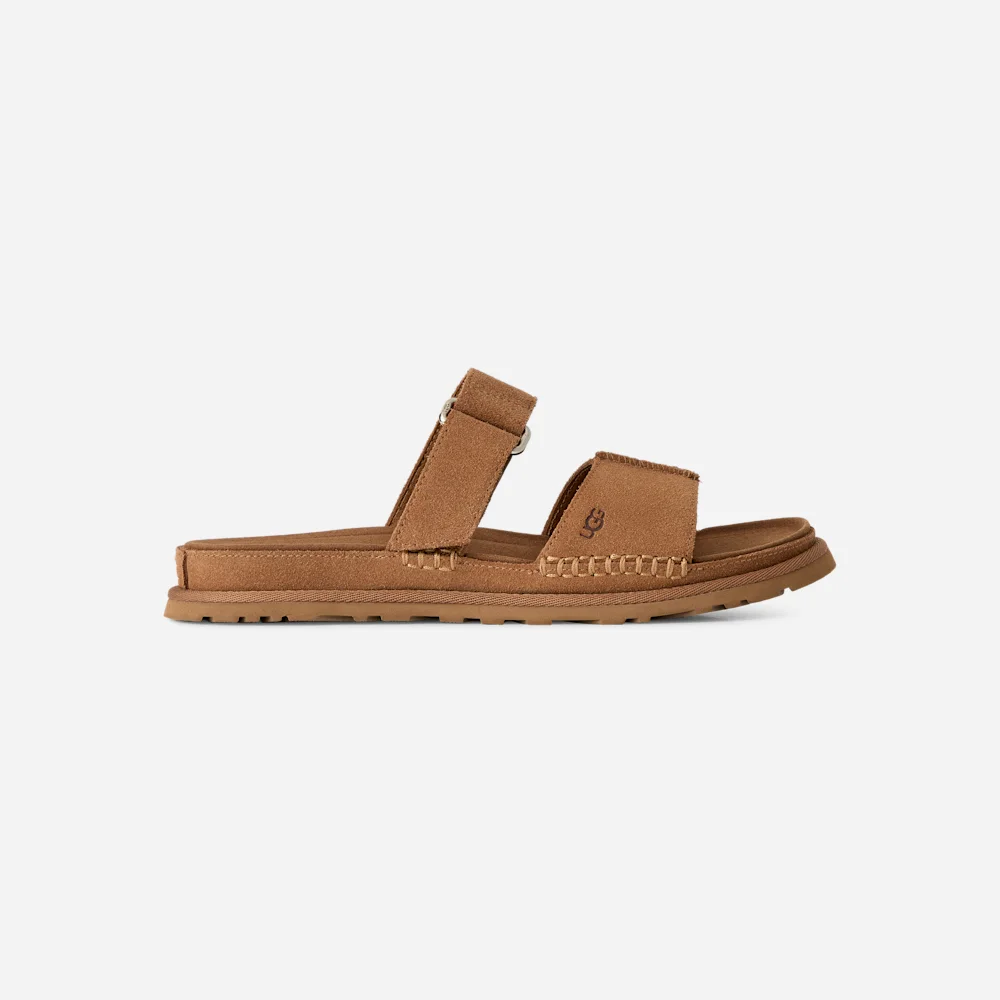 Mule GoldenGaze