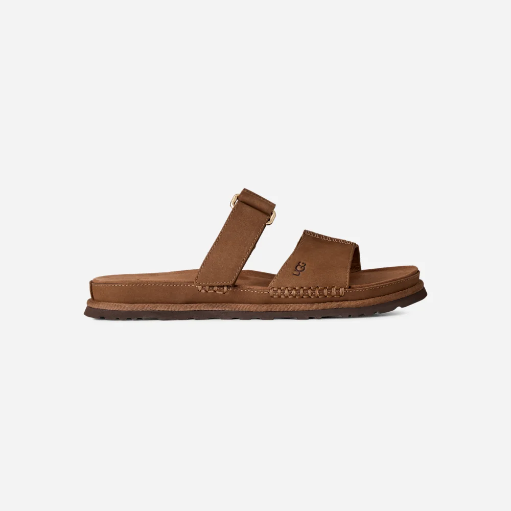 Mule GoldenGaze