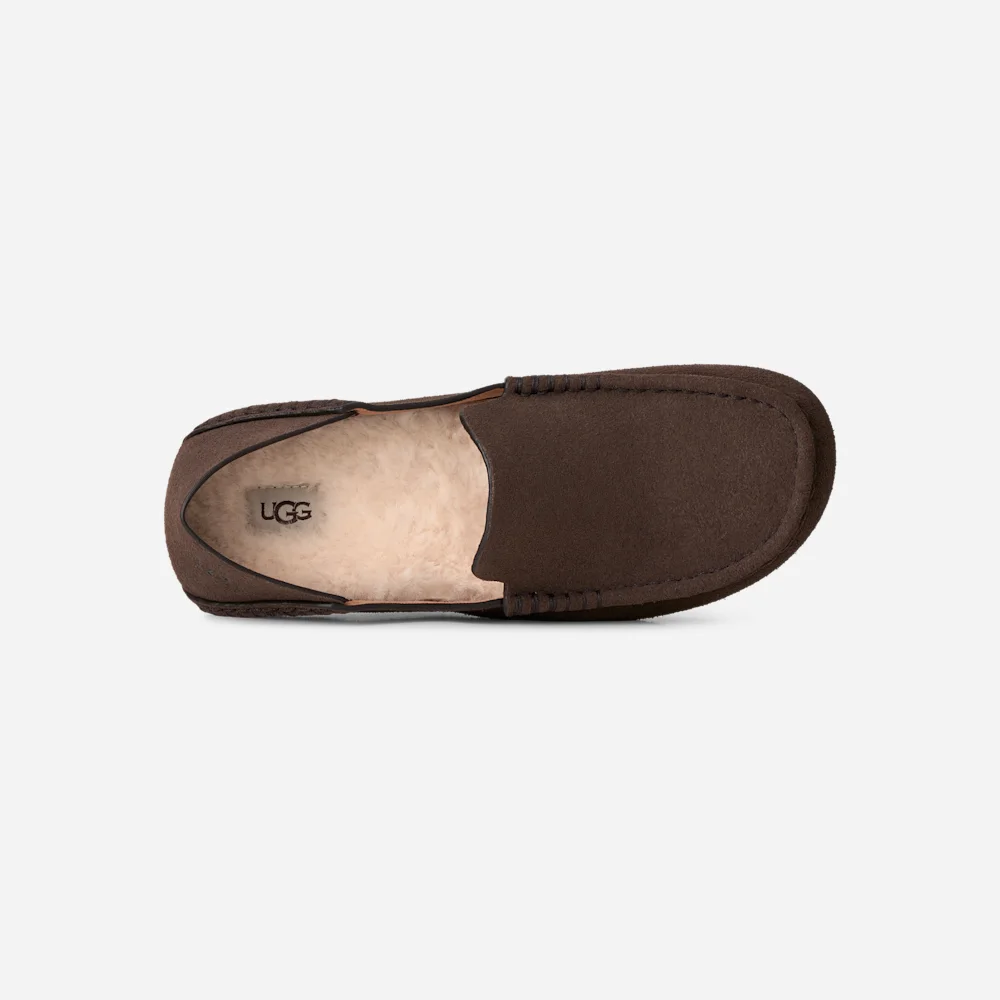 Mocassin Eldrie Dusted Cocoa vue 6